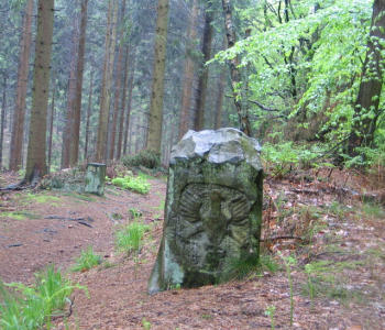  11. Aachener Wald, Lammerskuhl