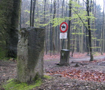 12. Aachener Wald, Wildenborn