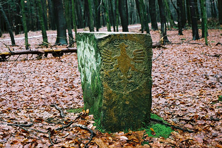 Vrije Rijksstad Aken, steen 31,
 in het Preuswald