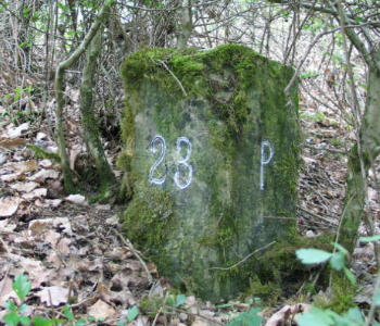 gp 23 20040502