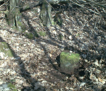 grenspaal 30 20030316