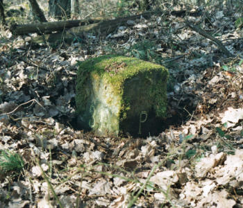 grenspaal 31 20030316