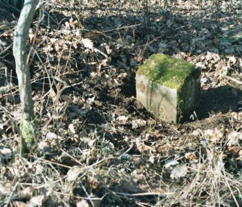 grenspaal 43 20030316
